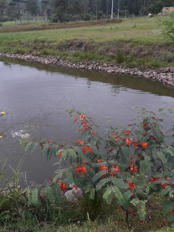 Pousada Requinte Ponto Rural Urubici Dış mekan fotoğraf